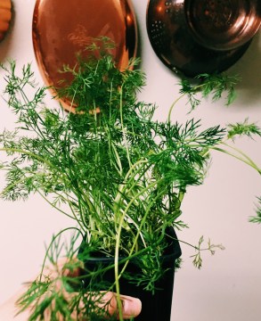 Processed with VSCO with c1 preset